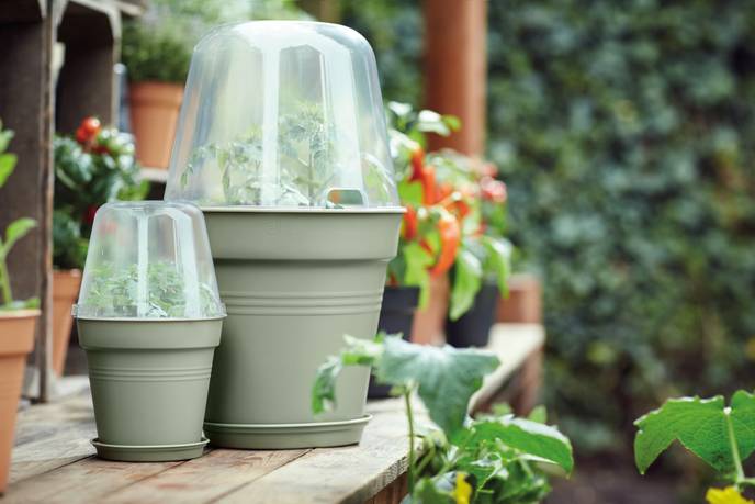 green basics pot de culture 21cm vert pierre